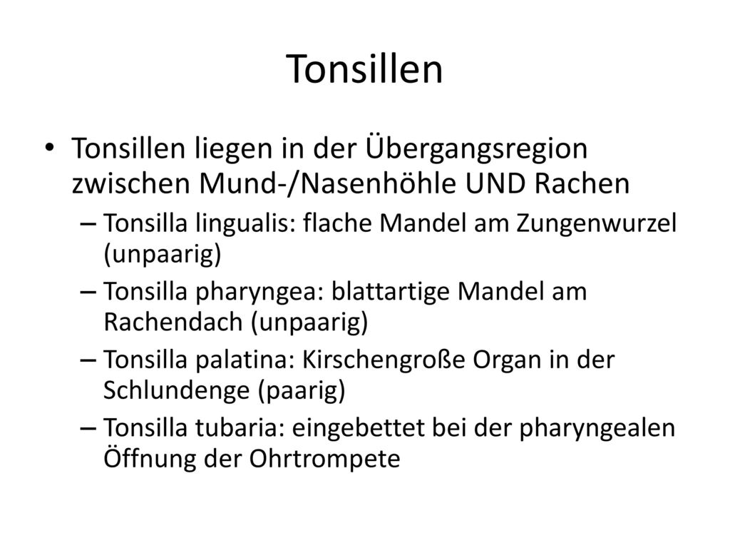 Tonsillen Tonsillen liegen in der Übergangsregion zwischen Mund-/Nasenhöhle UND Rachen. Tonsilla lingualis: flache Mandel am Zungenwurzel (unpaarig)