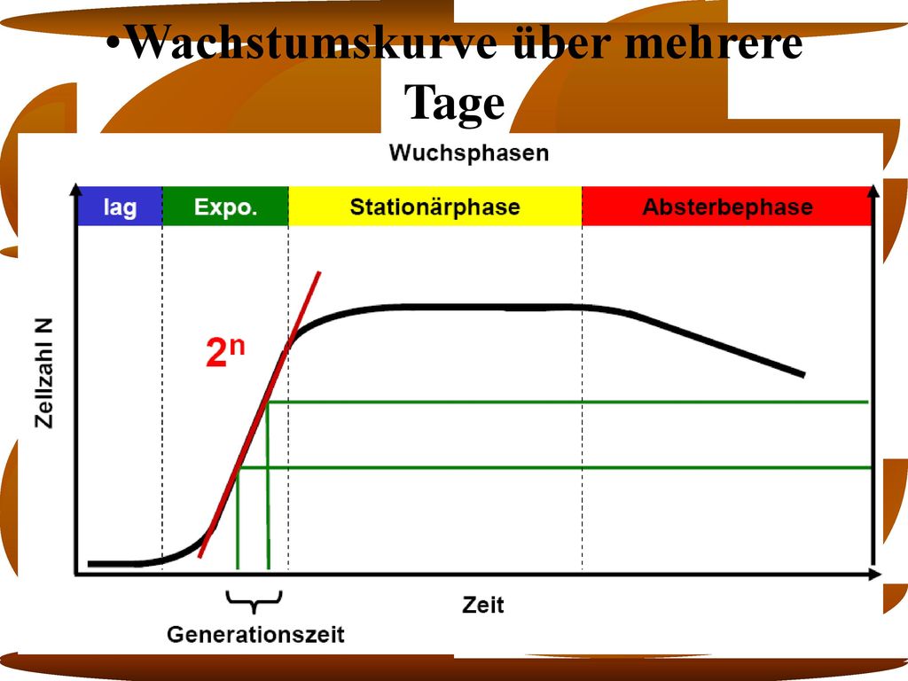 Wachstumskurve über mehrere Tage