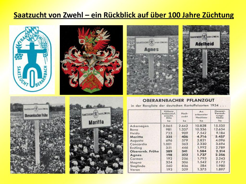 Saatzucht von Zwehl – ein Rückblick auf über 100 Jahre Züchtung