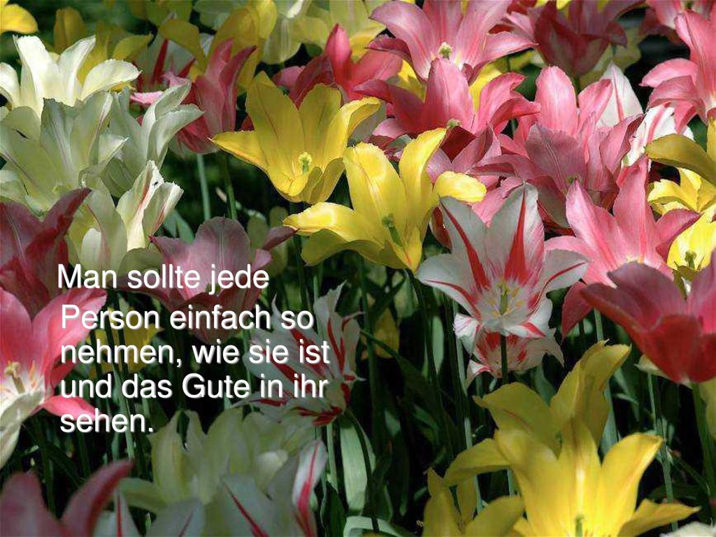 Man sollte jede Person einfach so nehmen, wie sie ist und das Gute in ihr sehen.