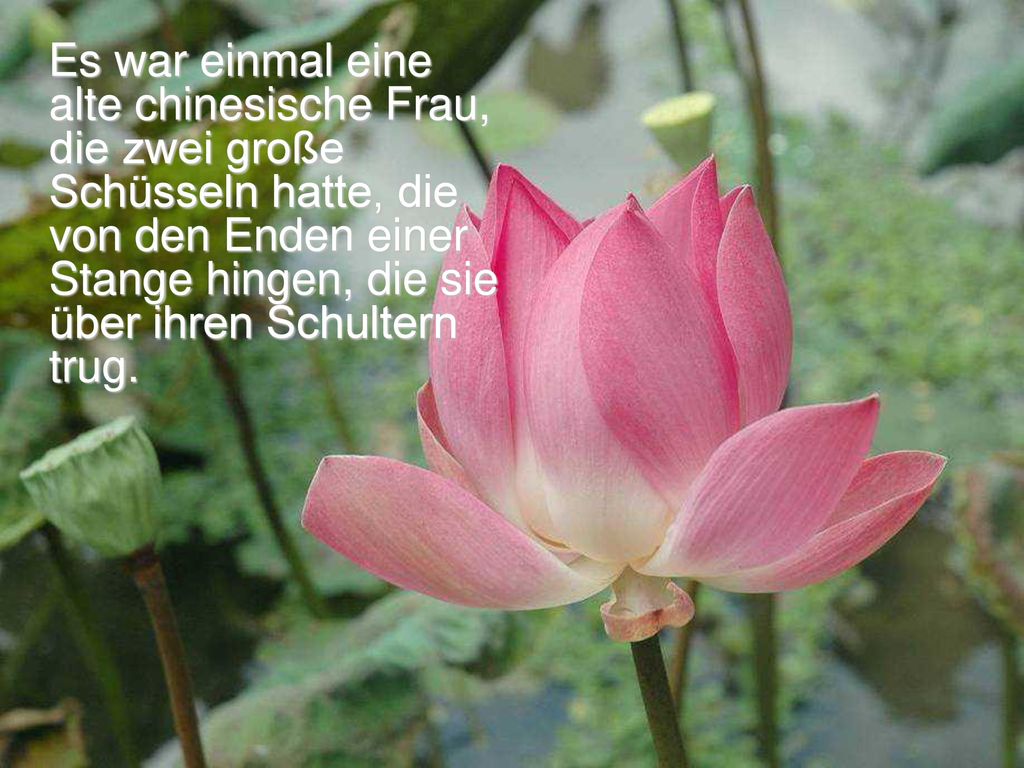 Es war einmal eine alte chinesische Frau, die zwei große Schüsseln hatte, die von den Enden einer Stange hingen, die sie über ihren Schultern trug.