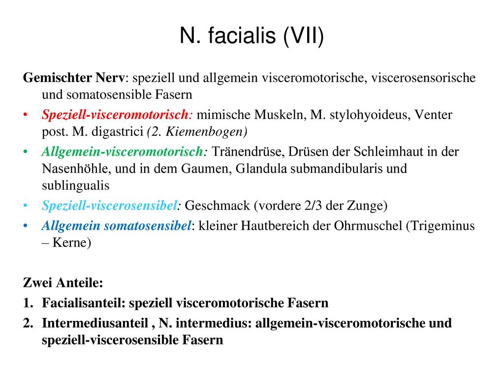 N. facialis (VII) Gemischter Nerv: speziell und allgemein visceromotorische, viscerosensorische und somatosensible Fasern.