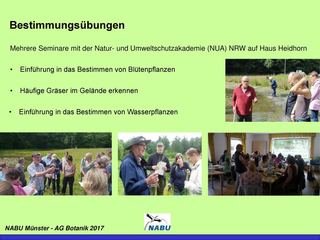 Bestimmungsübungen Mehrere Seminare mit der Natur- und Umweltschutzakademie (NUA) NRW auf Haus Heidhorn.