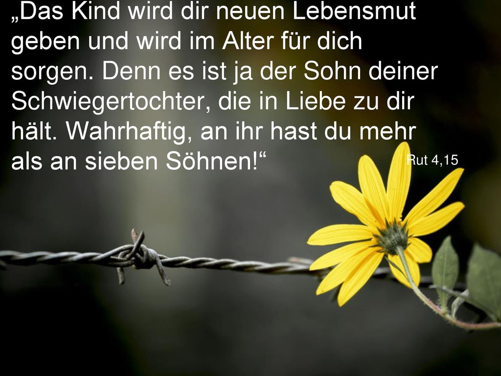 „Das Kind wird dir neuen Lebensmut geben und wird im Alter für dich sorgen. Denn es ist ja der Sohn deiner Schwiegertochter, die in Liebe zu dir hält. Wahrhaftig, an ihr hast du mehr als an sieben Söhnen!