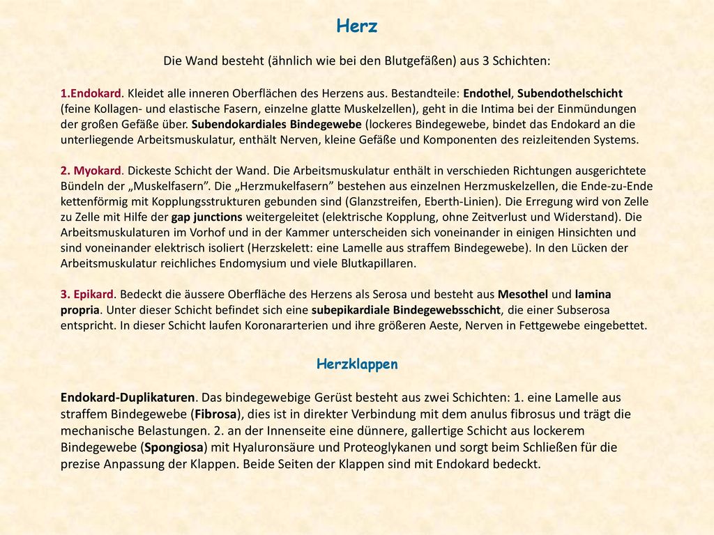 Die Wand besteht (ähnlich wie bei den Blutgefäßen) aus 3 Schichten: