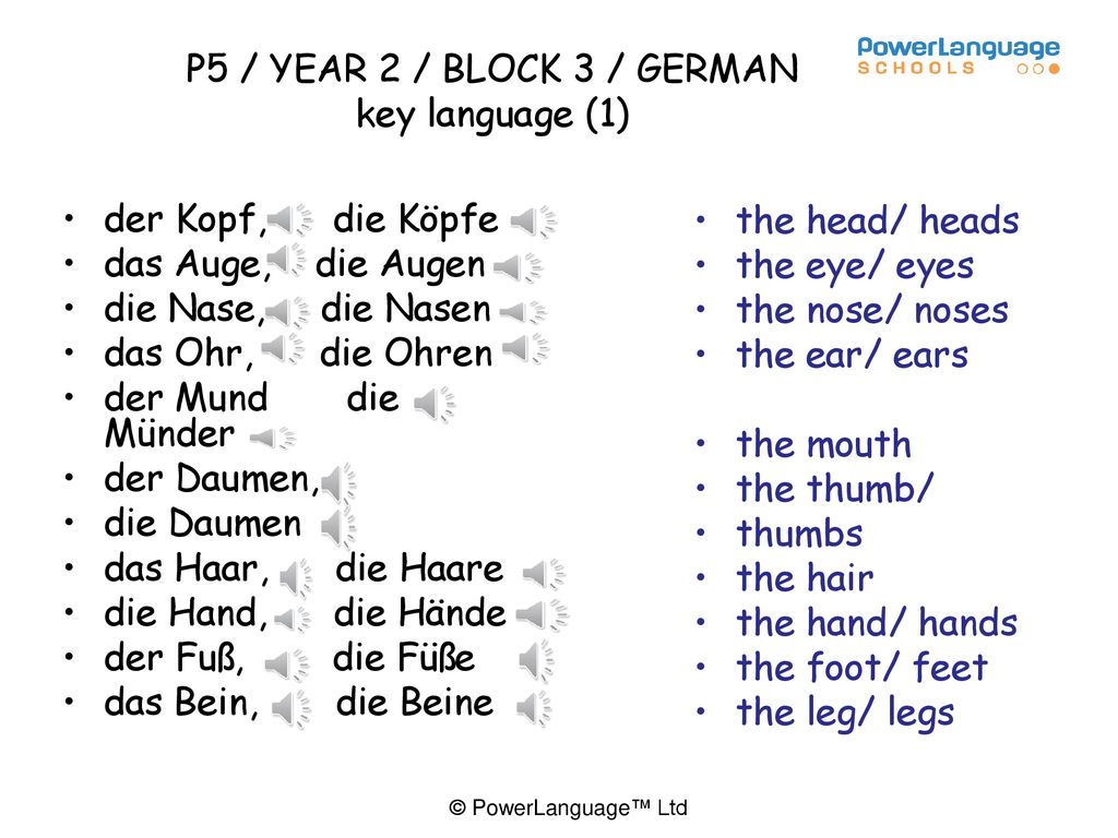 P5 / YEAR 2 / BLOCK 3 / GERMAN key language (1)