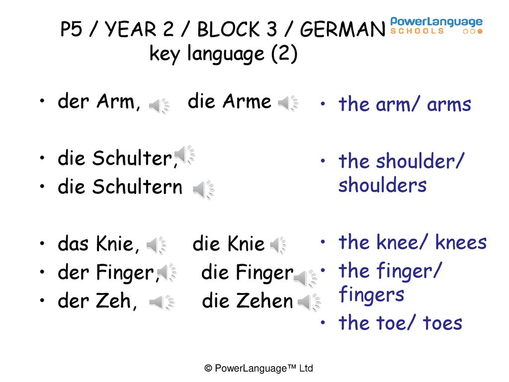 P5 / YEAR 2 / BLOCK 3 / GERMAN key language (2)