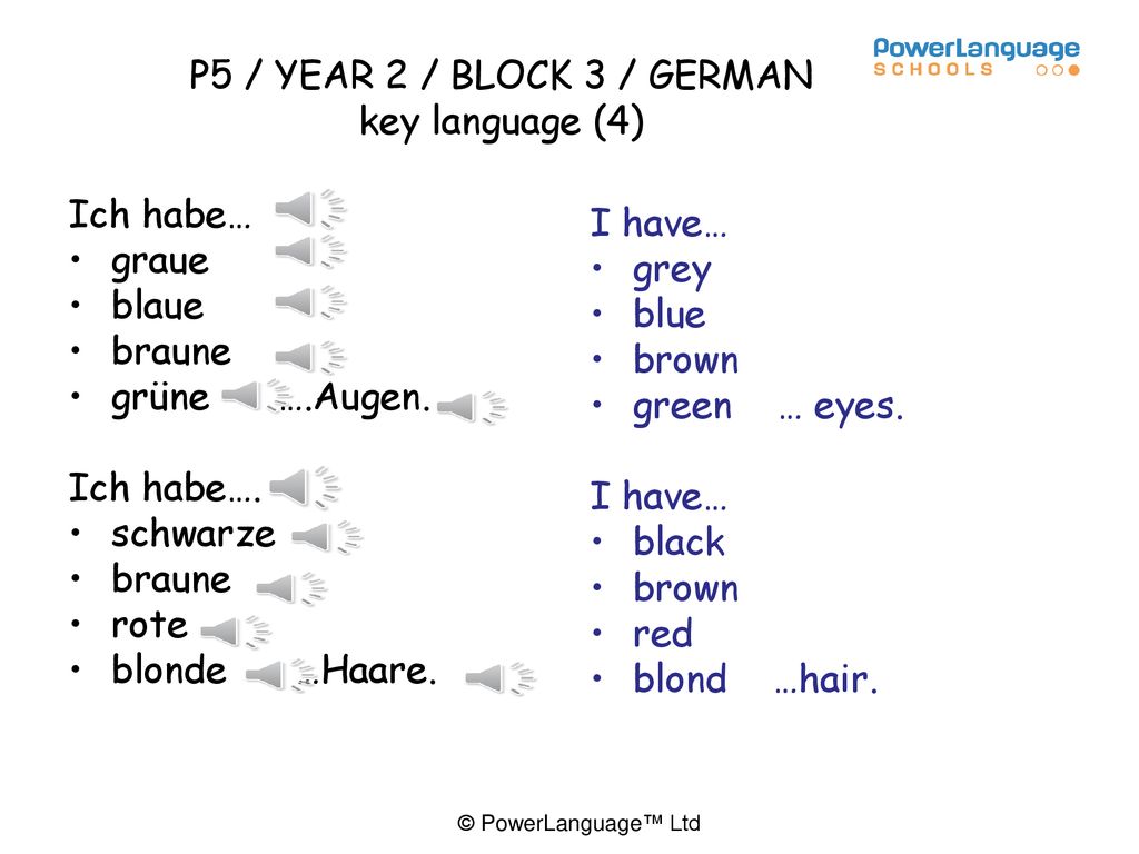 P5 / YEAR 2 / BLOCK 3 / GERMAN key language (4)
