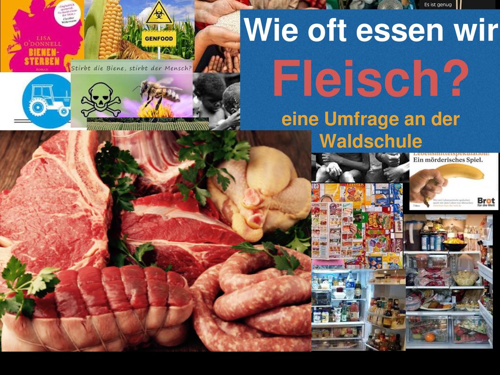 Wie oft essen wir Fleisch eine Umfrage an der Waldschule