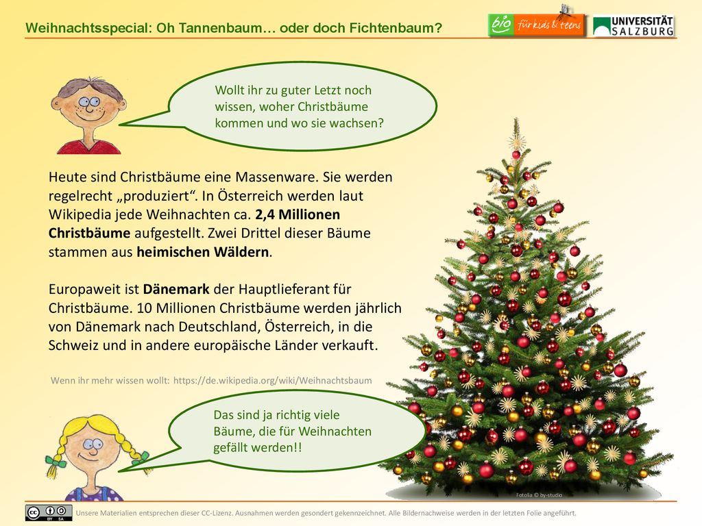 Wollt ihr zu guter Letzt noch wissen, woher Christbäume kommen und wo sie wachsen