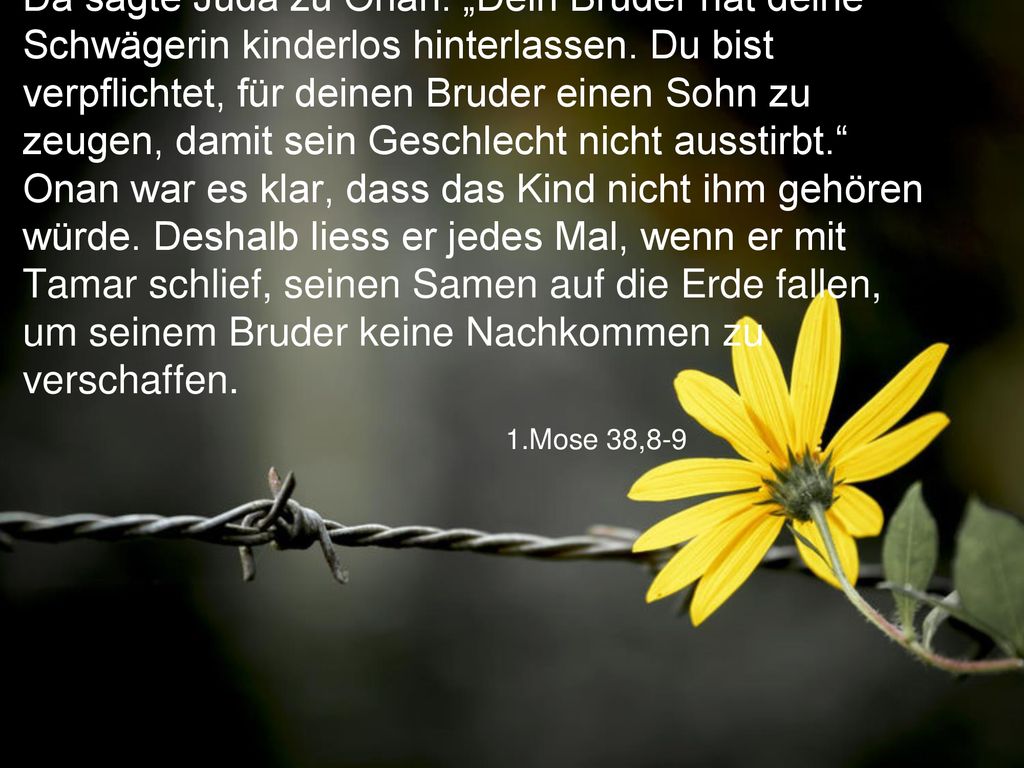 Da sagte Juda zu Onan: „Dein Bruder hat deine Schwägerin kinderlos hinterlassen. Du bist verpflichtet, für deinen Bruder einen Sohn zu zeugen, damit sein Geschlecht nicht ausstirbt. Onan war es klar, dass das Kind nicht ihm gehören würde. Deshalb liess er jedes Mal, wenn er mit Tamar schlief, seinen Samen auf die Erde fallen, um seinem Bruder keine Nachkommen zu verschaffen.