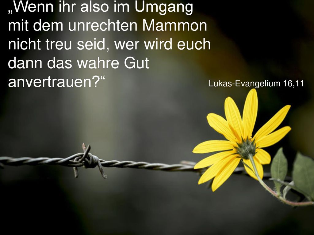 „Wenn ihr also im Umgang mit dem unrechten Mammon nicht treu seid, wer wird euch dann das wahre Gut anvertrauen
