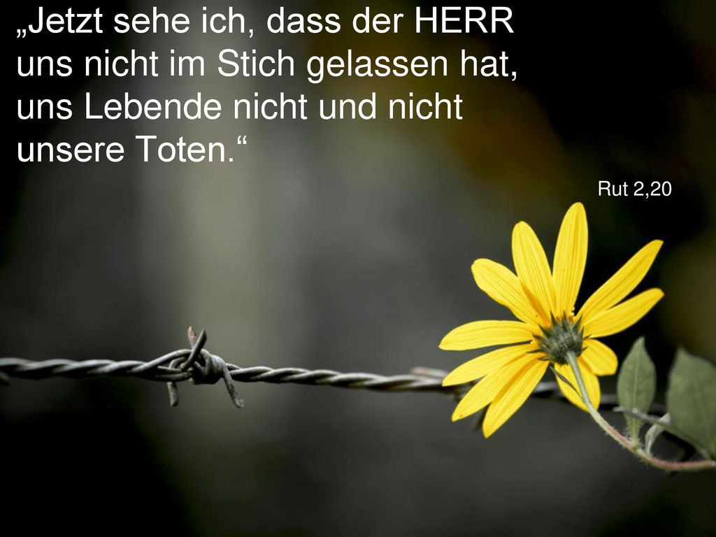 „Jetzt sehe ich, dass der HERR uns nicht im Stich gelassen hat, uns Lebende nicht und nicht unsere Toten.