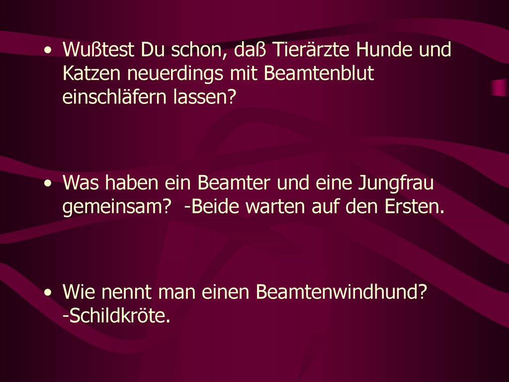 Wußtest Du schon, daß Tierärzte Hunde und Katzen neuerdings mit Beamtenblut einschläfern lassen