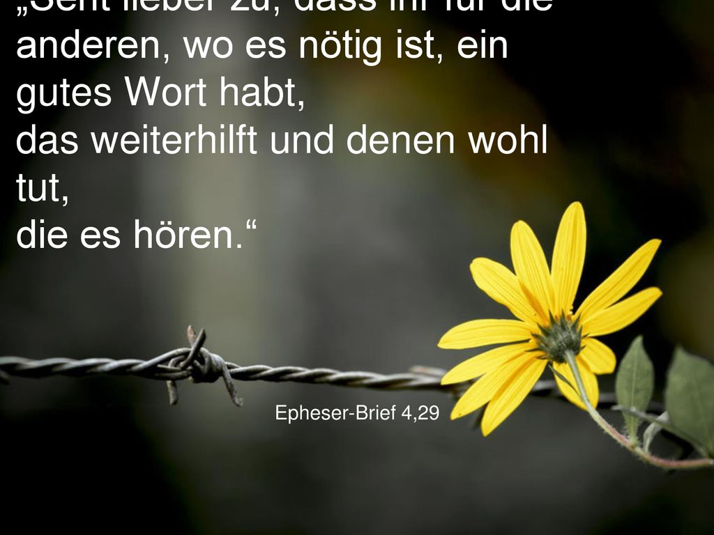 „Seht lieber zu, dass ihr für die anderen, wo es nötig ist, ein gutes Wort habt, das weiterhilft und denen wohl tut, die es hören.