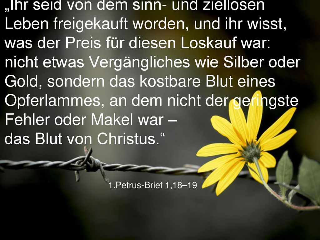 „Ihr seid von dem sinn- und ziellosen Leben freigekauft worden, und ihr wisst, was der Preis für diesen Loskauf war: nicht etwas Vergängliches wie Silber oder Gold, sondern das kostbare Blut eines Opferlammes, an dem nicht der geringste Fehler oder Makel war – das Blut von Christus.