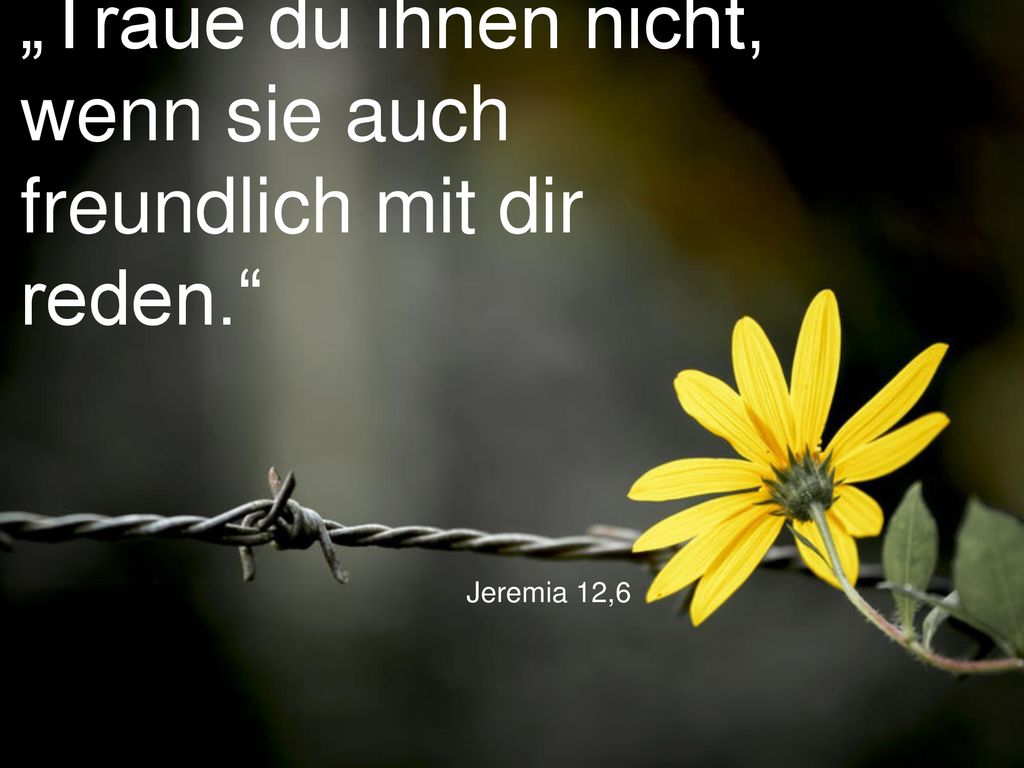 „Traue du ihnen nicht, wenn sie auch freundlich mit dir reden.