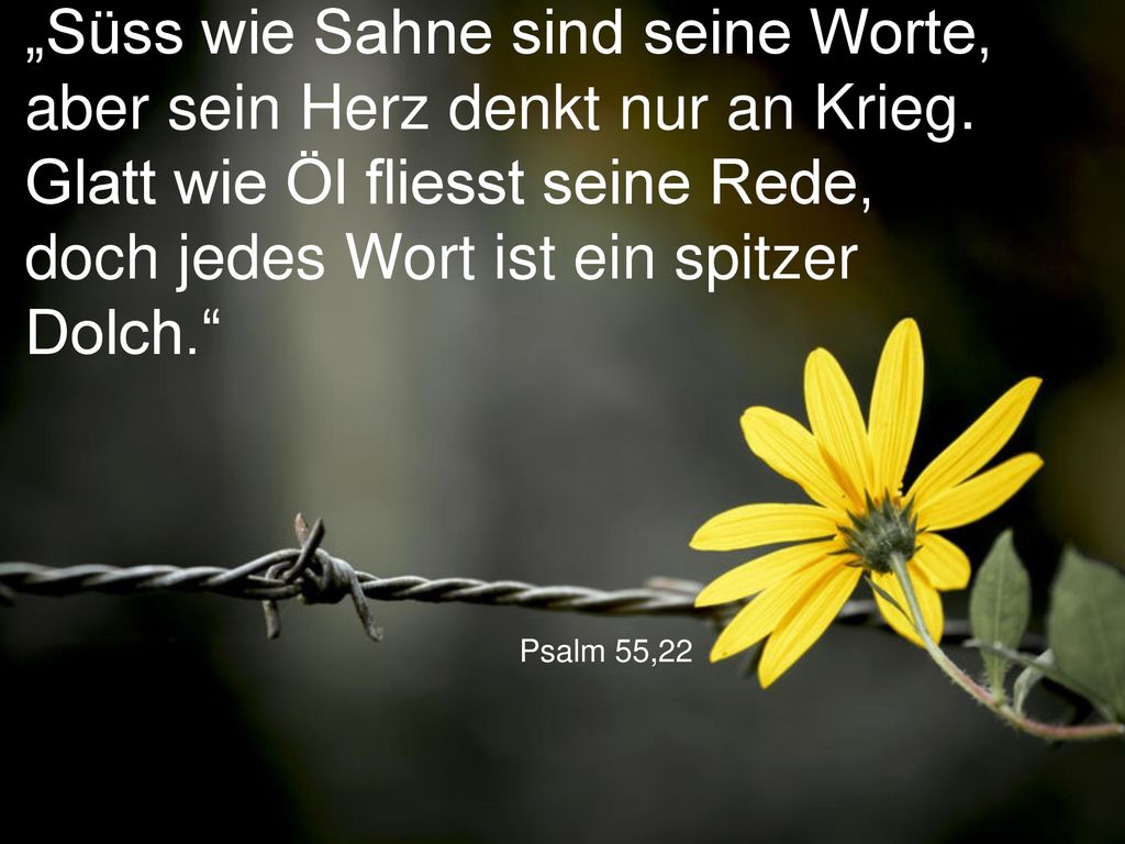 „Süss wie Sahne sind seine Worte, aber sein Herz denkt nur an Krieg