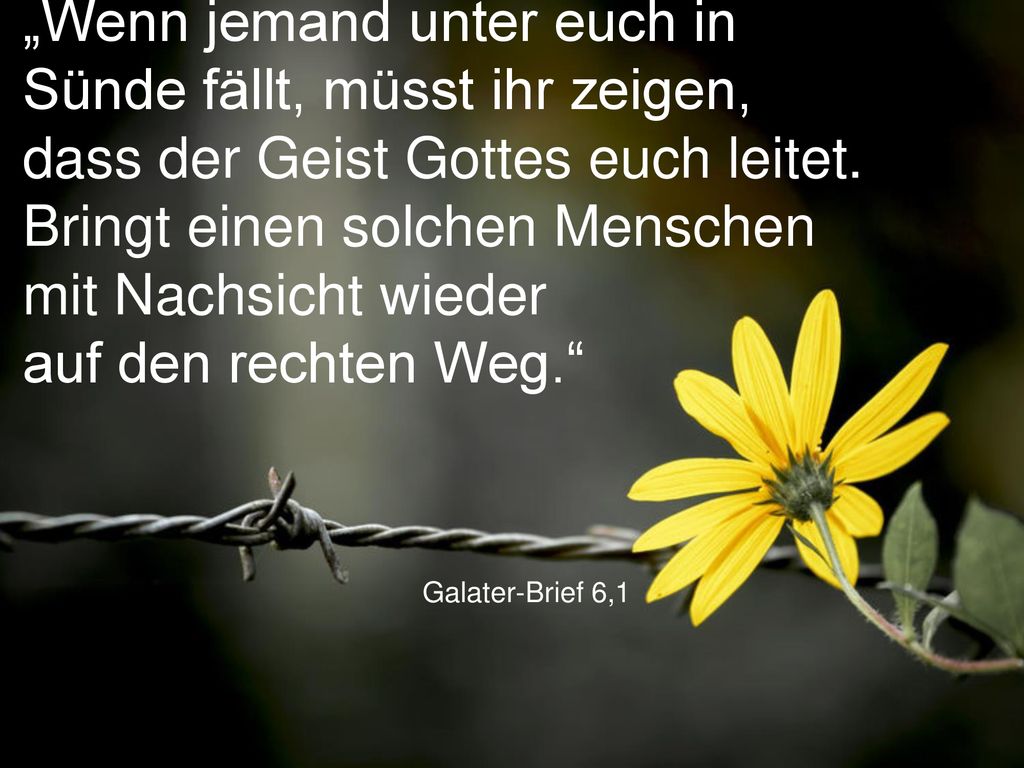 „Wenn jemand unter euch in Sünde fällt, müsst ihr zeigen, dass der Geist Gottes euch leitet. Bringt einen solchen Menschen mit Nachsicht wieder auf den rechten Weg.