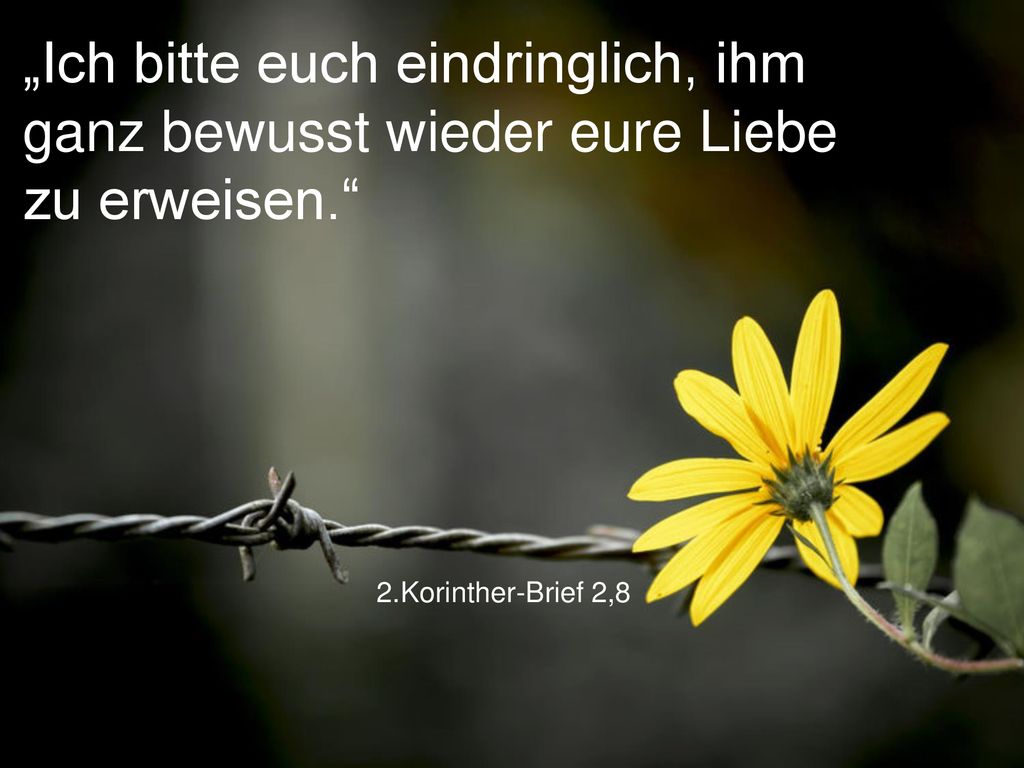 „Ich bitte euch eindringlich, ihm ganz bewusst wieder eure Liebe zu erweisen.
