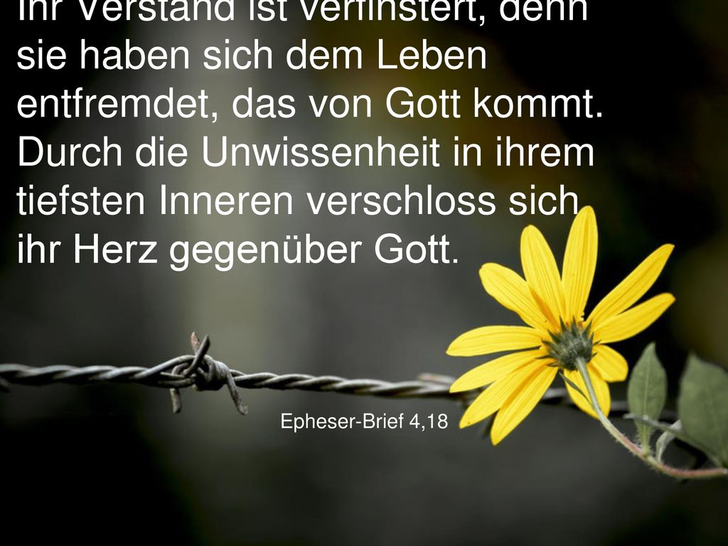 Ihr Verstand ist verfinstert, denn sie haben sich dem Leben entfremdet, das von Gott kommt. Durch die Unwissenheit in ihrem tiefsten Inneren verschloss sich ihr Herz gegenüber Gott.