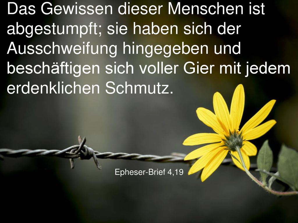 Das Gewissen dieser Menschen ist abgestumpft; sie haben sich der Ausschweifung hingegeben und beschäftigen sich voller Gier mit jedem erdenklichen Schmutz.