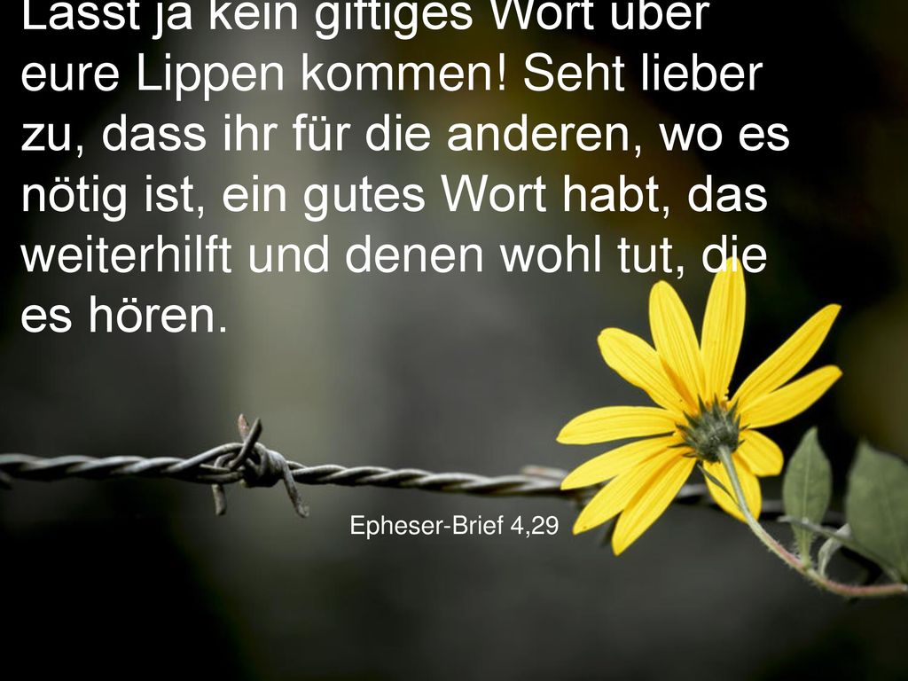 Lasst ja kein giftiges Wort über eure Lippen kommen