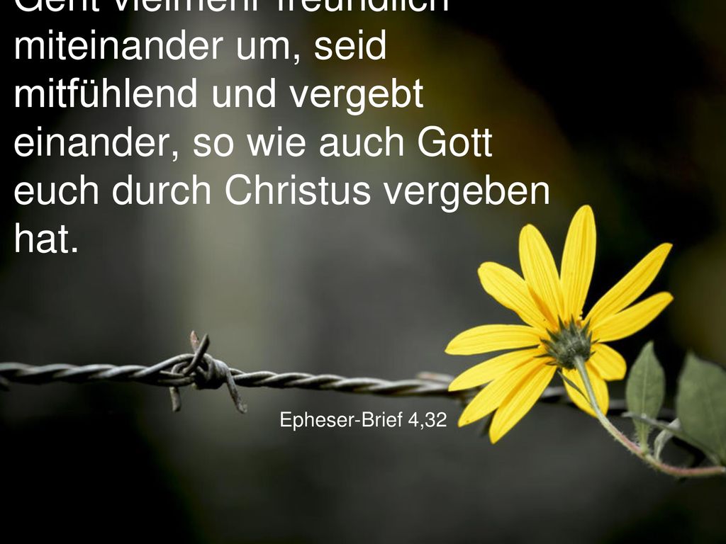 Geht vielmehr freundlich miteinander um, seid mitfühlend und vergebt einander, so wie auch Gott euch durch Christus vergeben hat.