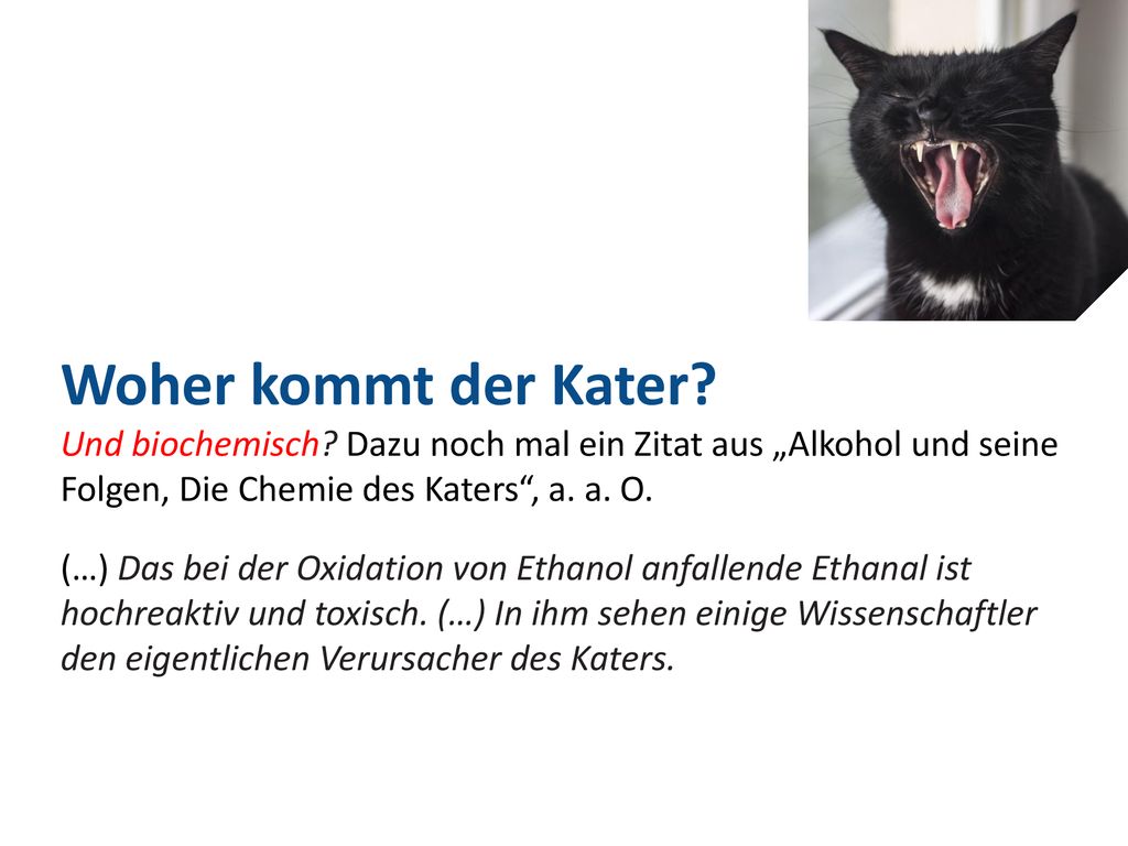Woher kommt der Kater Und biochemisch Dazu noch mal ein Zitat aus „Alkohol und seine Folgen, Die Chemie des Katers , a. a. O.
