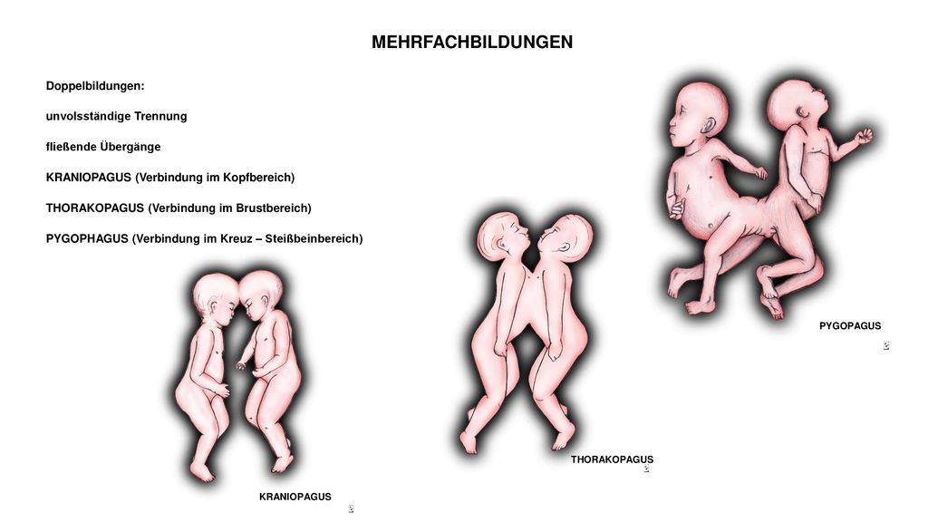MEHRFACHBILDUNGEN