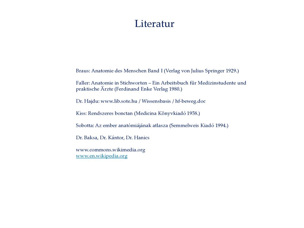 Literatur Braus: Anatomie des Menschen Band I (Verlag von Julius Springer 1929.)