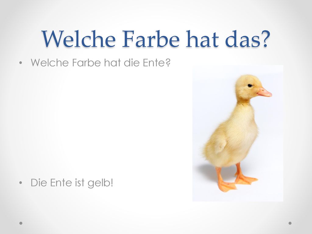 Welche Farbe hat das Welche Farbe hat die Ente Die Ente ist gelb!