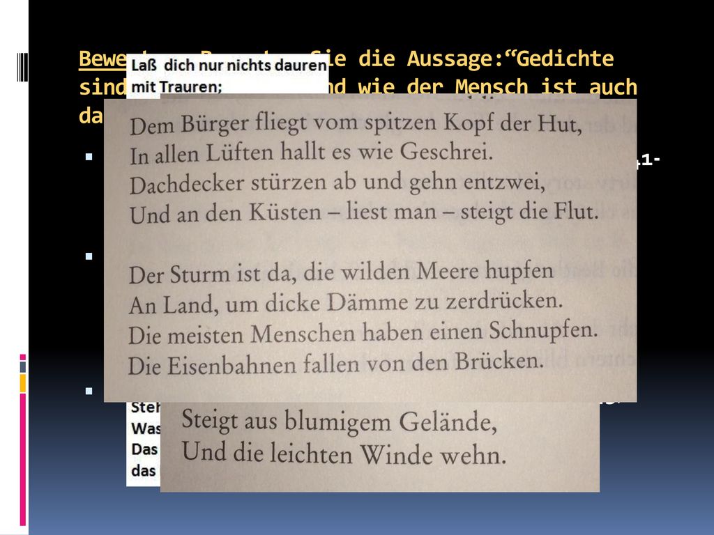Bewerten: Bewerten Sie die Aussage: Gedichte sind Menschenwerk, und wie der Mensch ist auch das Gedicht zu wirklich allem fähig (S.240)