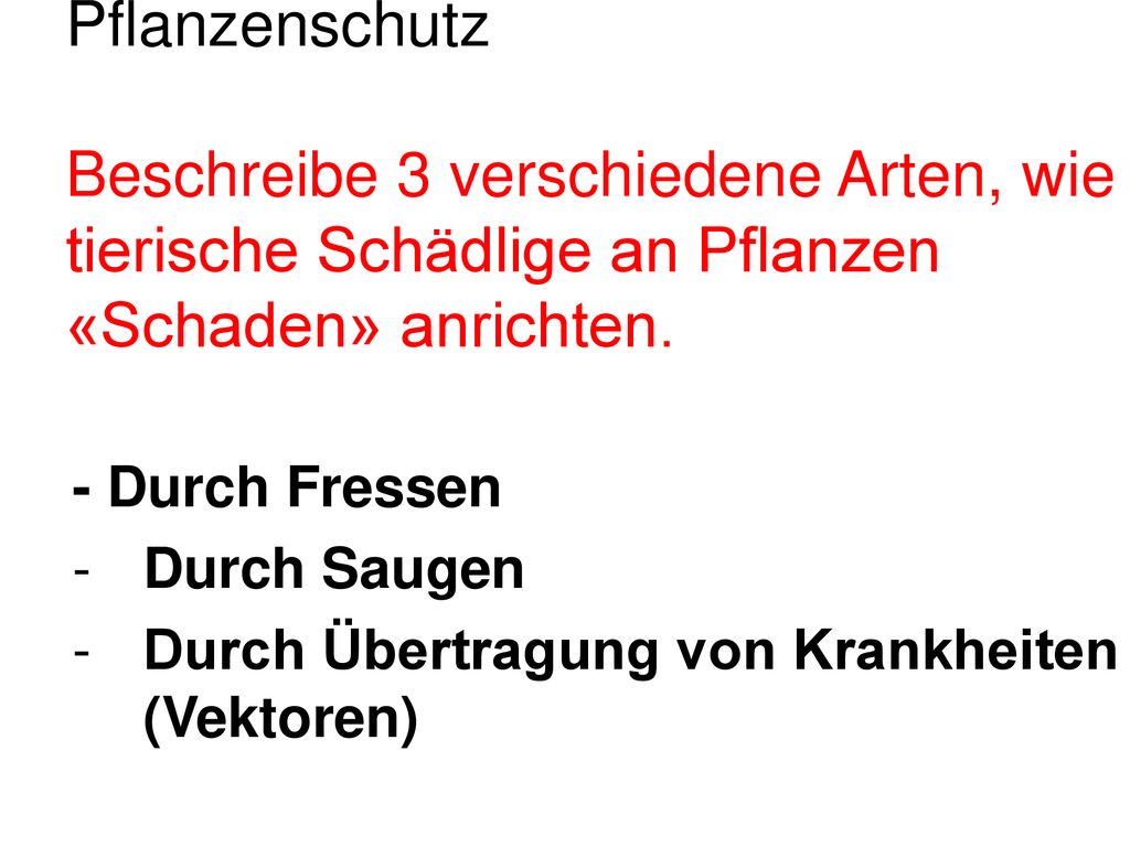 Pflanzenschutz Beschreibe 3 verschiedene Arten, wie tierische Schädlige an Pflanzen «Schaden» anrichten.
