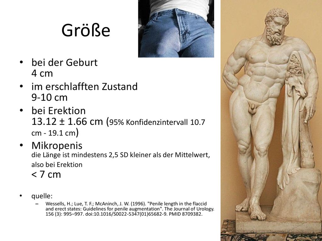 Größe bei der Geburt 4 cm im erschlafften Zustand 9-10 cm