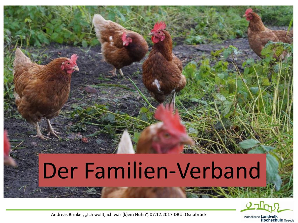 Der Familien-Verband Andreas Brinker, „Ich wollt, ich wär (k)ein Huhn , DBU Osnabrück