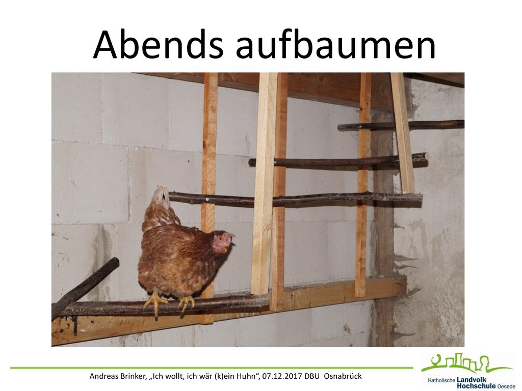 Abends aufbaumen Andreas Brinker, „Ich wollt, ich wär (k)ein Huhn , DBU Osnabrück