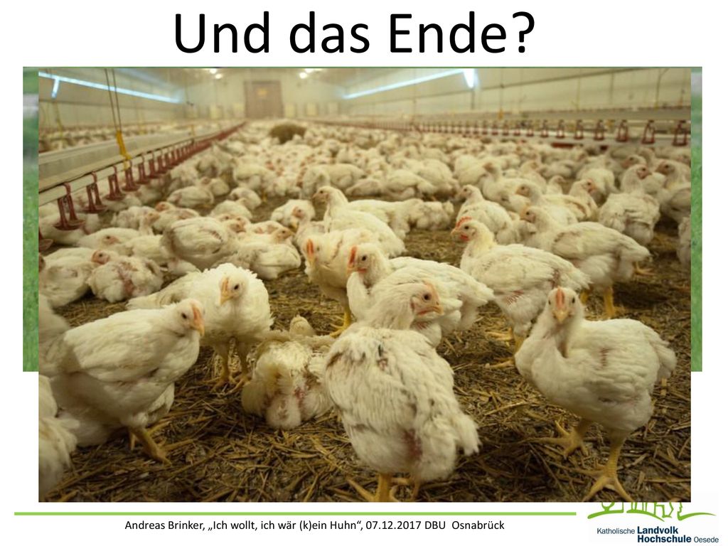Und das Ende Andreas Brinker, „Ich wollt, ich wär (k)ein Huhn , DBU Osnabrück