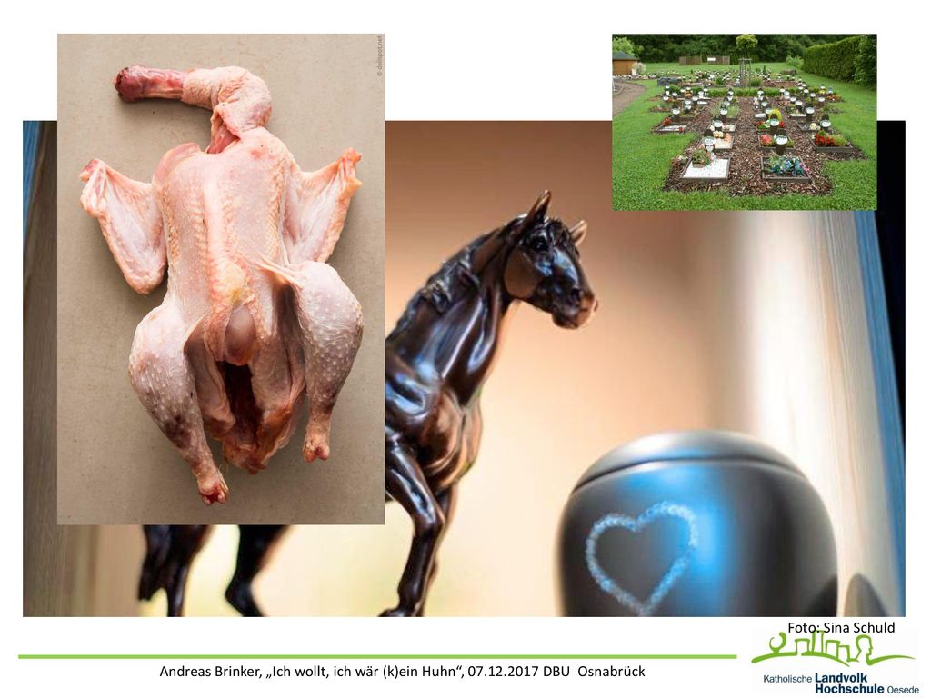 Foto: Sina Schuld Andreas Brinker, „Ich wollt, ich wär (k)ein Huhn , DBU Osnabrück