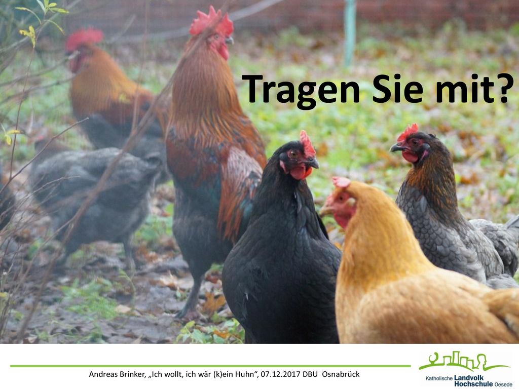 Tragen Sie mit Andreas Brinker, „Ich wollt, ich wär (k)ein Huhn , DBU Osnabrück