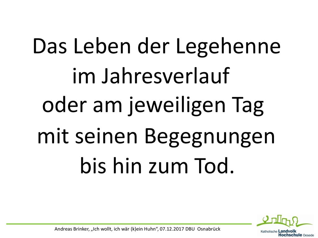 Das Leben der Legehenne im Jahresverlauf oder am jeweiligen Tag