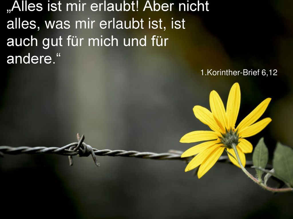 „Alles ist mir erlaubt! Aber nicht alles, was mir erlaubt ist, ist auch gut für mich und für andere.