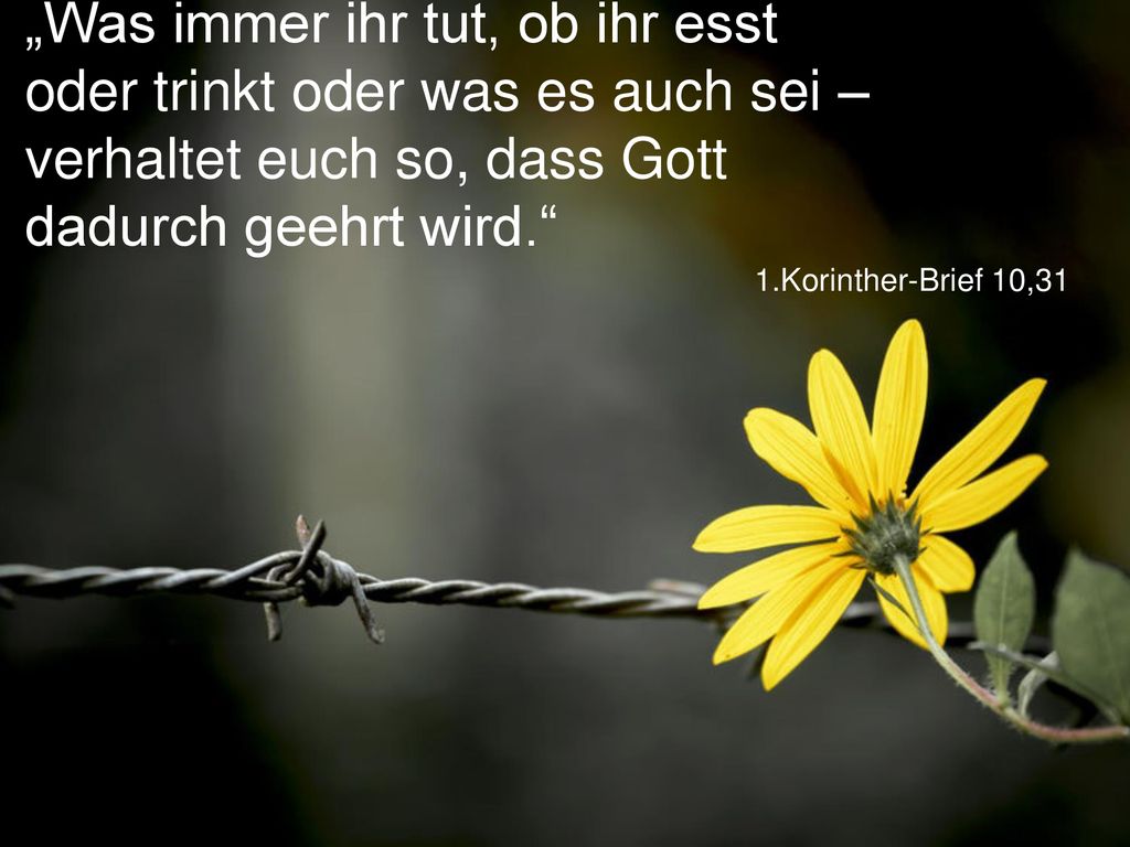„Was immer ihr tut, ob ihr esst oder trinkt oder was es auch sei – verhaltet euch so, dass Gott dadurch geehrt wird.
