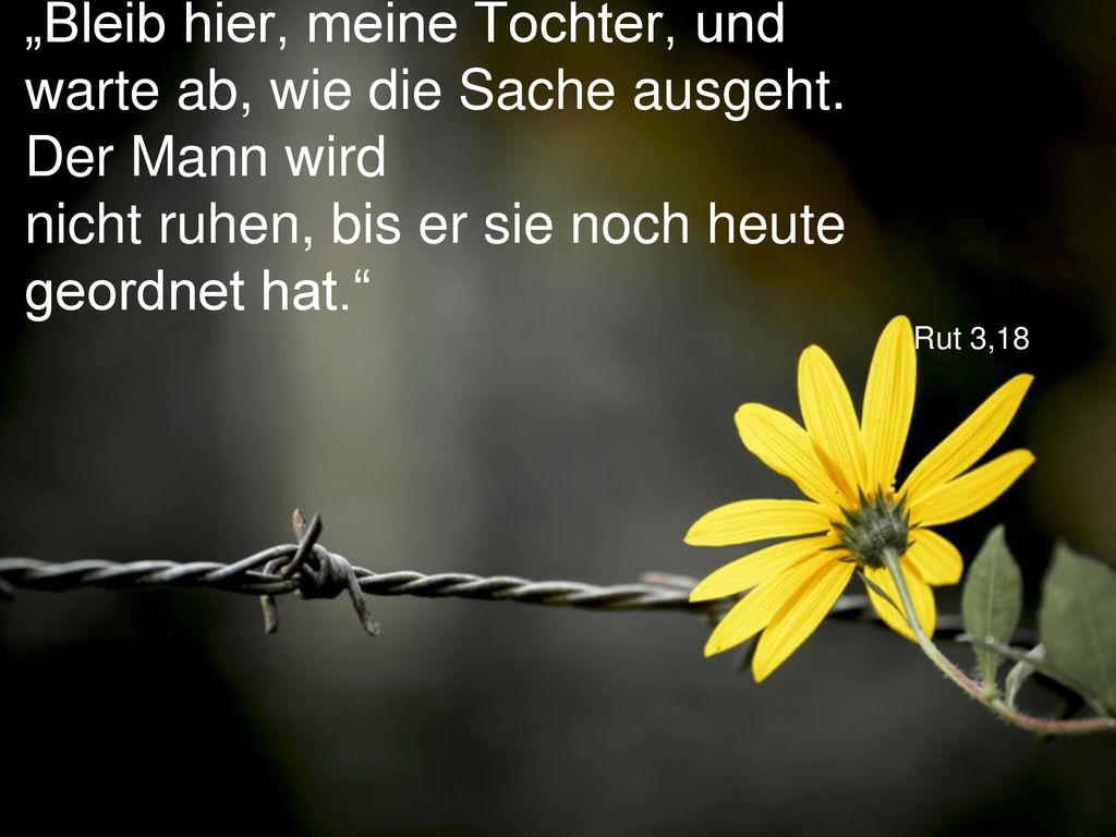 „Bleib hier, meine Tochter, und warte ab, wie die Sache ausgeht