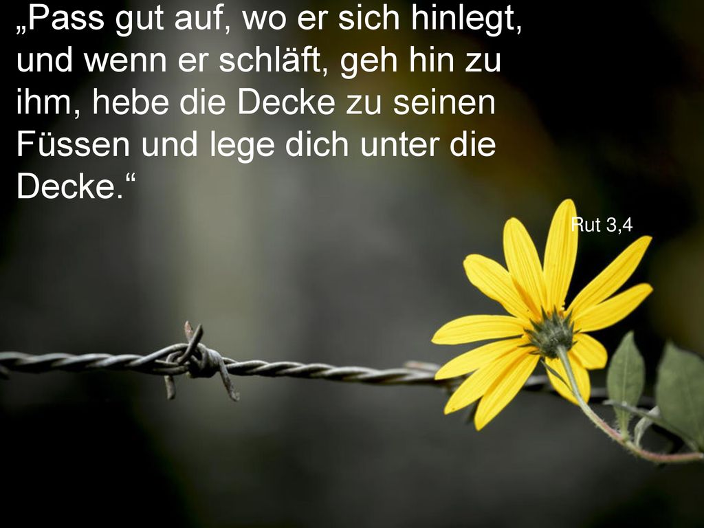 „Pass gut auf, wo er sich hinlegt, und wenn er schläft, geh hin zu ihm, hebe die Decke zu seinen Füssen und lege dich unter die Decke.