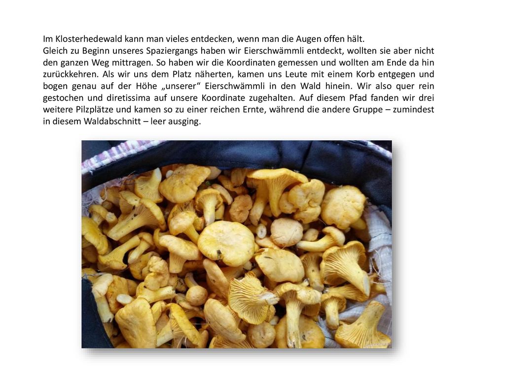 Im Klosterhedewald kann man vieles entdecken, wenn man die Augen offen hält.