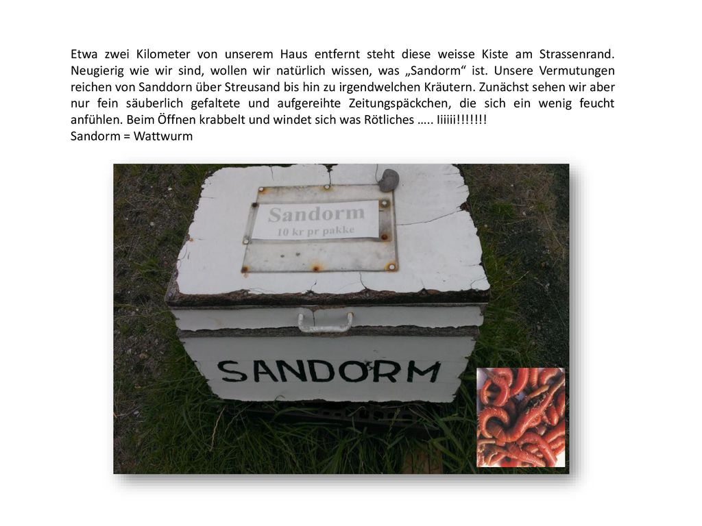 Etwa zwei Kilometer von unserem Haus entfernt steht diese weisse Kiste am Strassenrand. Neugierig wie wir sind, wollen wir natürlich wissen, was „Sandorm ist. Unsere Vermutungen reichen von Sanddorn über Streusand bis hin zu irgendwelchen Kräutern. Zunächst sehen wir aber nur fein säuberlich gefaltete und aufgereihte Zeitungspäckchen, die sich ein wenig feucht anfühlen. Beim Öffnen krabbelt und windet sich was Rötliches ….. Iiiiii!!!!!!!