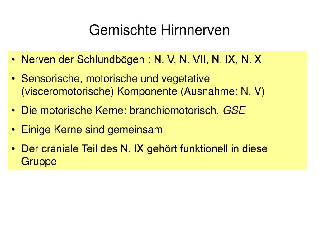 Gemischte Hirnnerven Nerven der Schlundbögen : N. V, N. VII, N. IX, N. X.