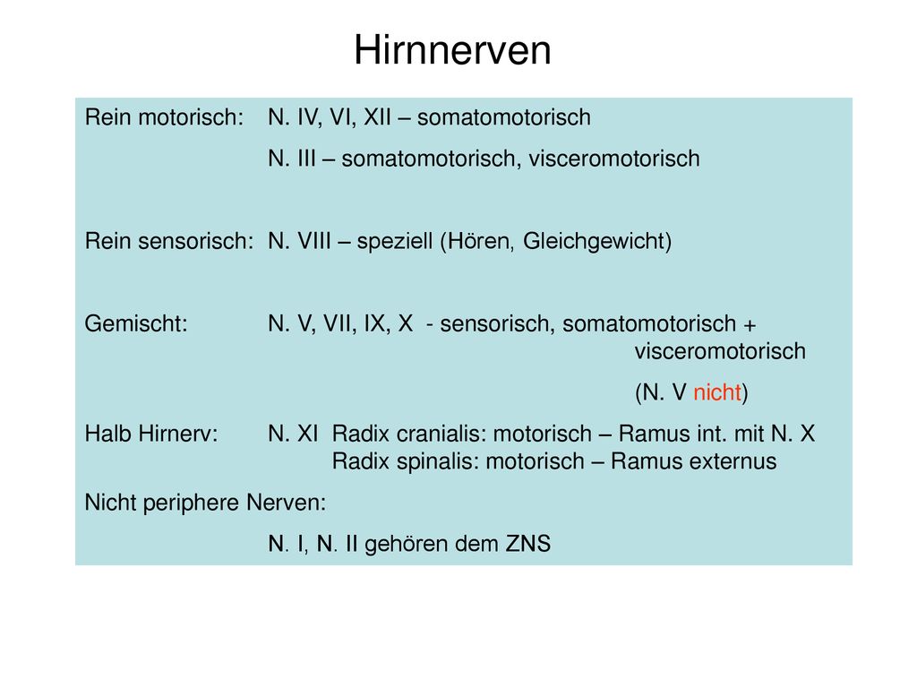 Hirnnerven Rein motorisch: N. IV, VI, XII – somatomotorisch