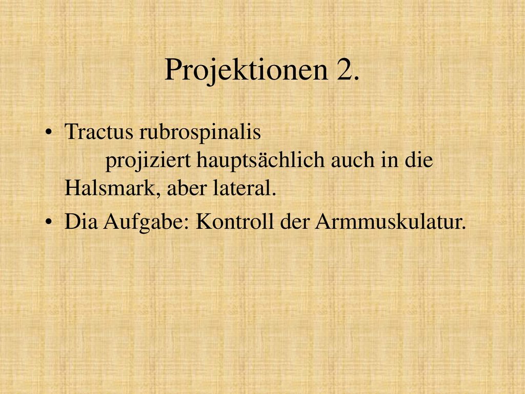 Projektionen 2. Tractus rubrospinalis projiziert hauptsächlich auch in die Halsmark, aber lateral.